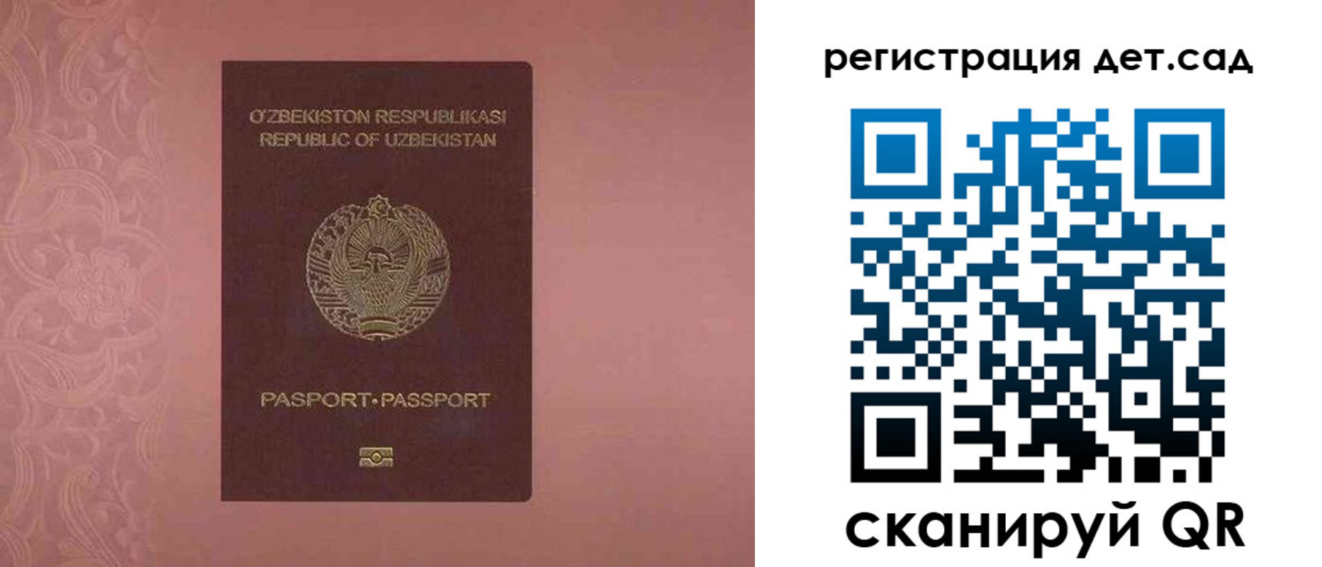 прописка ребенка в Жукове